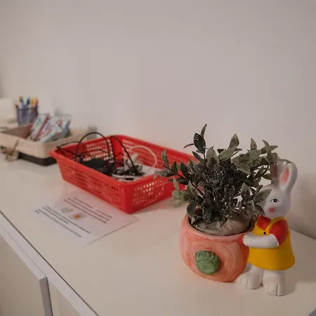 Regina Elena Loft & Self Ceck-in